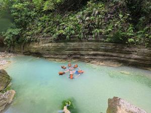 CocoVille Guesthouse KUBO