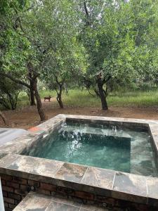 BushRiver Guest House