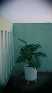 Moon Hug Boutique Beach House