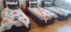 Apartman Petar Comfortable Apartment