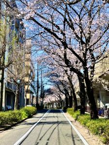 Hidden in Ozone-Nagoya 名古屋 戸建貸切り宿 8名定員P1台 ベッド7台寝室3部屋 アジア競技大会会場 IGアリーナ ドーム至近