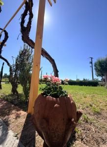 The Tuscany Rose