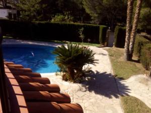 VILLA Roy