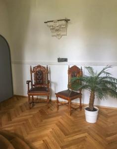 Ferienwohnung Feenblick