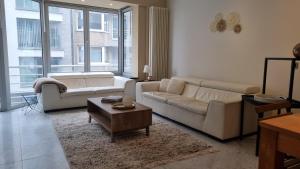 Spacious and comfortable apartment