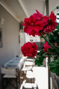 Boutique maison Filiatra