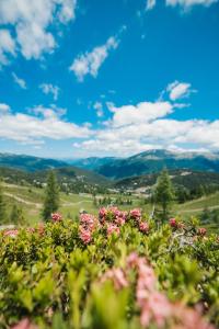 Turrach Suites 410 by ALPS RESORTS