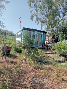 Romeo Stay eco cabins and camping