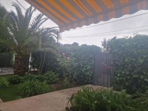 House in the greenery Podgorica