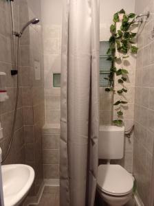 Maros utcai Apartman