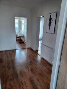 Apartmán Radenice