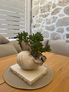 Villa Jana- Old Stone House