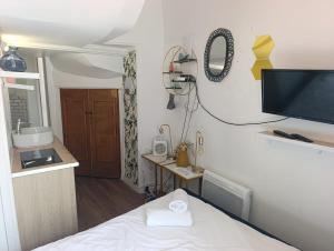 Petit studio Parisien - Quartier arais