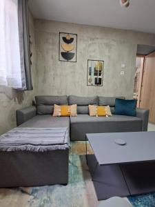 Analou Mood Accommodation