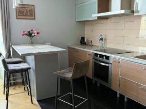 Žolynų River Apartment - Self Check-in and Free Parking