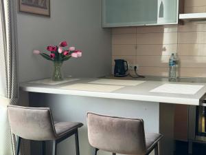 Žolynų River Apartment - Self Check-in and Free Parking