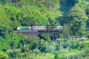 Sapphire rail ridge Ella