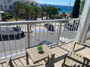 Delfín Nerja