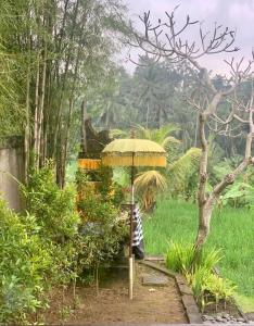 Slice of Paradise - Beautiful Villa in Rice Fields