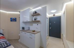 Sea Star Central Studio
