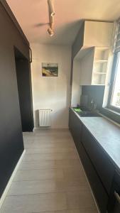 Central Rm Valcea Luxury Apartment