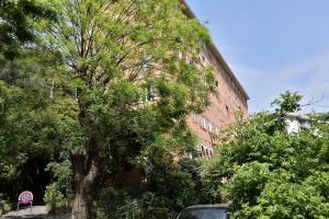 GuestHost - Borgoratti Comfy and Bright Apartment