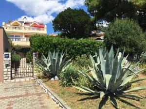 Guest House Zimmer Novi