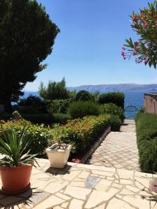 Apartments Villa Novi