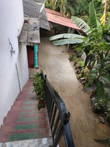 Mango Shade Hostel