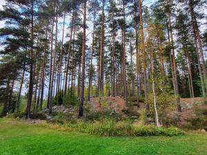 6 person holiday home in KOPPARBERG-By Traum