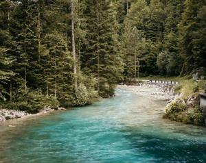 Nature Lovers Paradise in Julian Alps