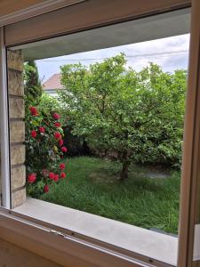 Deux pièces cosy au cœur dun jardin fleuri