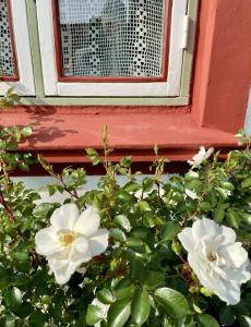 Charming House With Sea View On Langeland