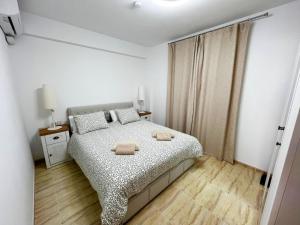 Las Palmeras, 1 Bed