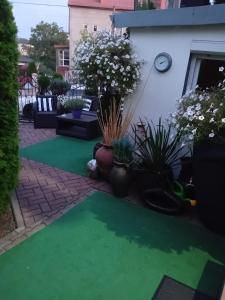 Apartament Corner House