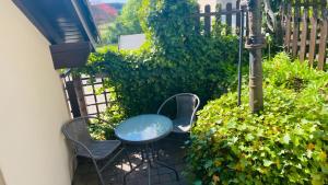 Maarträumchen in Gillenfeld