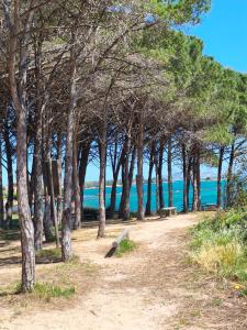Orizzonte infinito img29