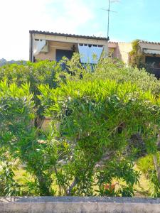 Orizzonte infinito img12