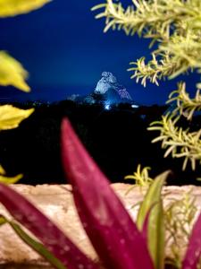 Hotel Suites Piamonte