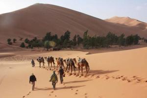 Royal Desert Retreat Merzouga