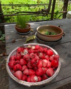 mehome Hidden Garden Homestay