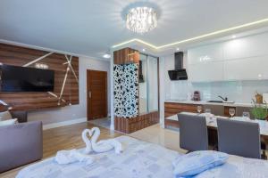 Zakopiańskie Tarasy SPA, Odkryj-Zakopane