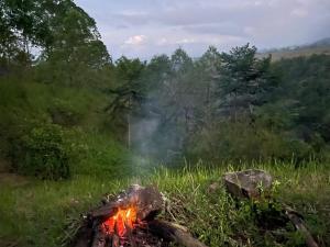 Ruteng Glamping & Campsite
