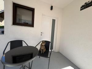 Cosy Studio CatHouse