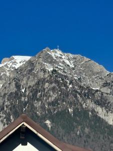 Alpine Noire