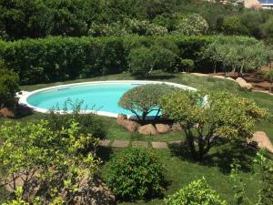 Villa Viola con piscina e giardino img23