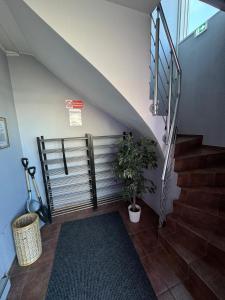Ástin er svarið Hostel