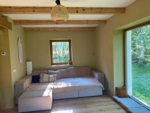 Cozy house in the forest buffer zone