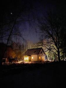 Cozy house in the forest buffer zone