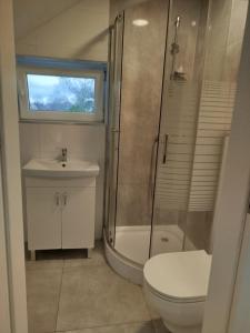 Apartamenty Ścinawa